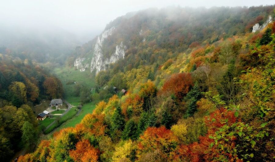 Ojcow National Park: Full-Day Trip from Krakow - Is $153 good value?