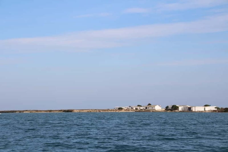 Olhão: Ria Formosa 3 Islands Guided Day Trip by Boat - Comfort, timing, and what to pack