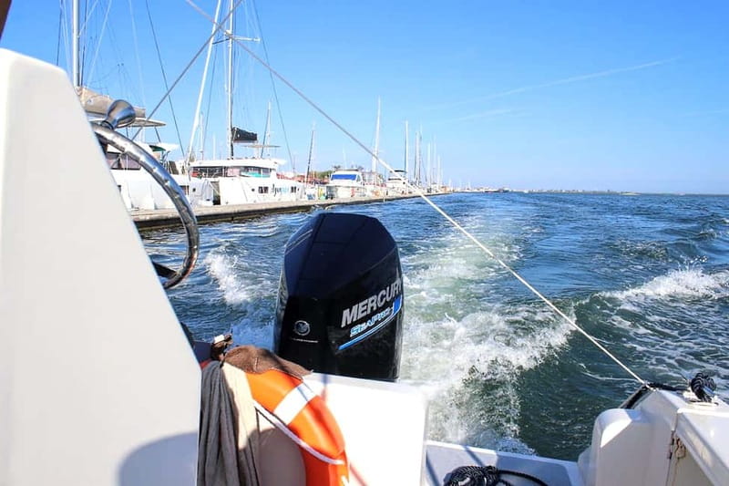 Olhão: Ria Formosa 3 Islands Guided Day Trip by Boat - Armona Island: swimming, sand, and your first taste of island life