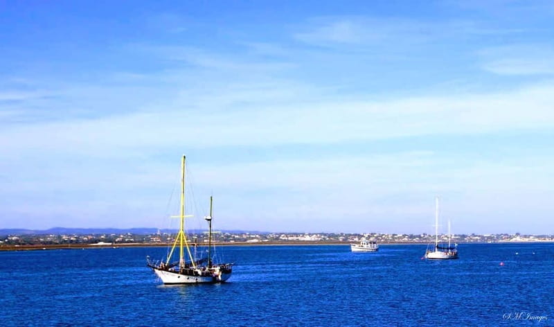 Olhão: Ria Formosa 3 Islands Guided Day Trip by Boat - Culatra Island: the longest and most useful stop