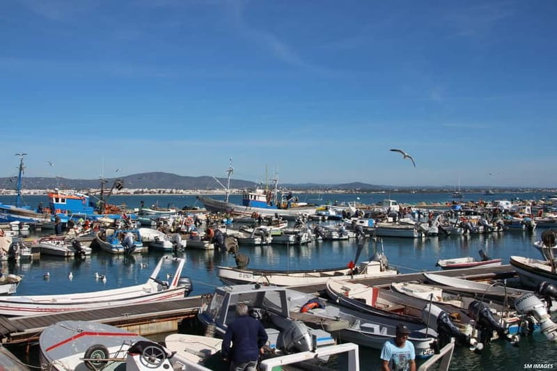 Olhão: Ria Formosa 3 Islands Guided Day Trip by Boat - The 20-minute cruise to Farol
