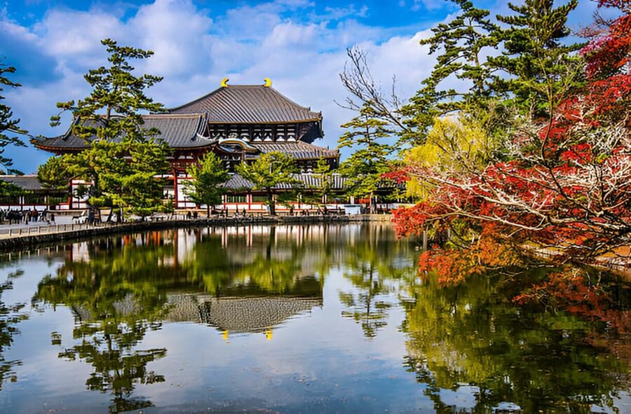Osaka/Kyoto: Private Kyoto and Nara Day Trip - Nara Park and the famous bowing deer