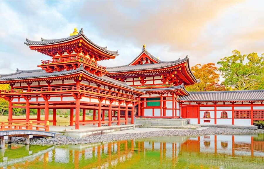 Osaka: Nara and Uji Day Trip with Deer Park and Hot Spring - Feeding deer in Nara Park
