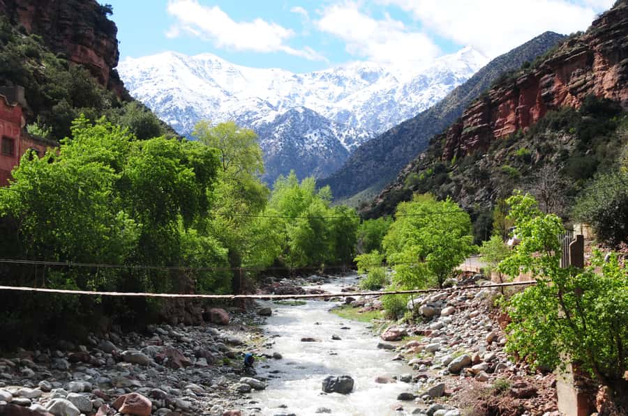Ourika Valley with Atlas Mountains Day Trip from Marrakech - Tea, Argan Oil, and the Berber House Visit