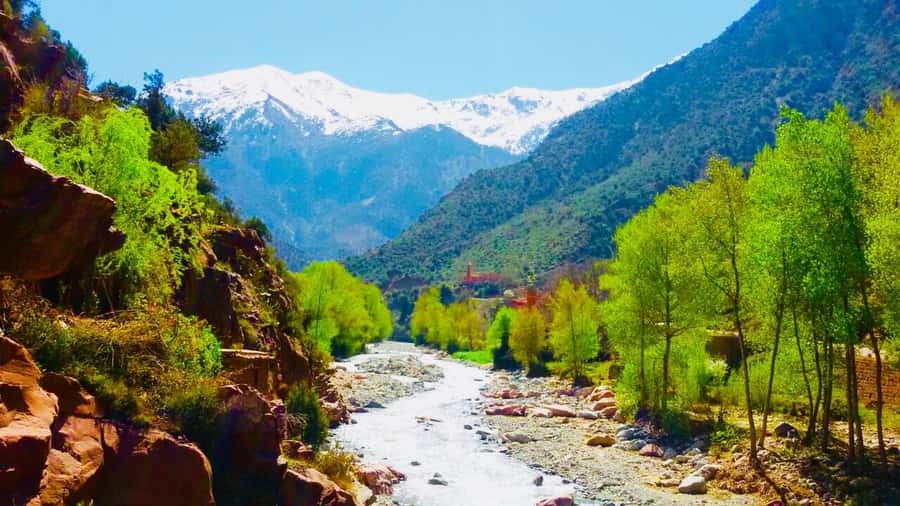 Ourika Valley with Atlas Mountains Day Trip from Marrakech - Who Will Like This Ourika Valley Trip?