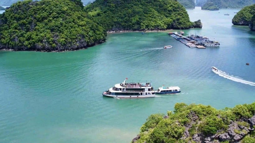 Pamela Cruise: HaLong Bay day trip with Lunch & Activities - Titop Island for swimming and photos