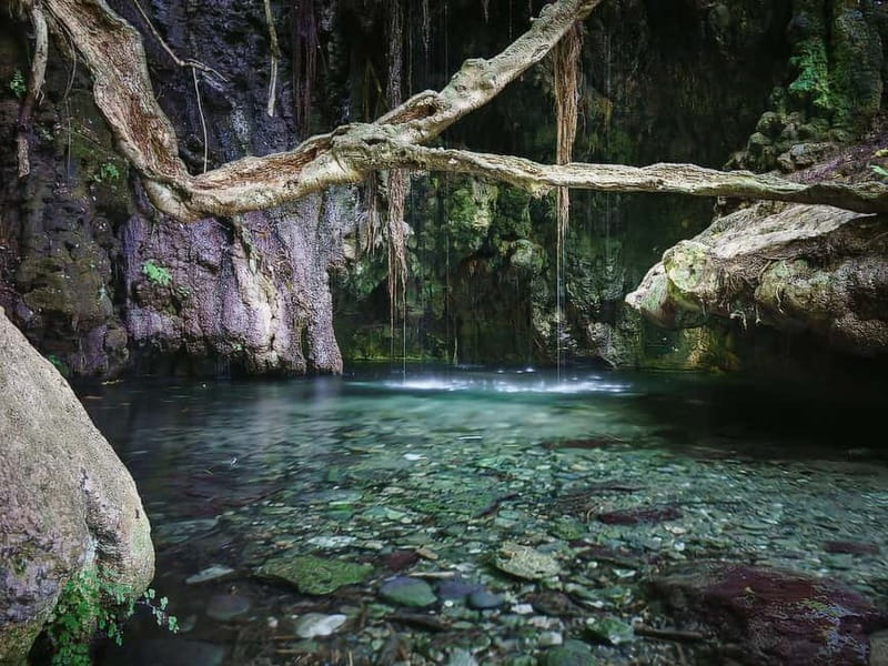 Paphos: Blue Lagoon, Aphrodite's Baths & Sea Caves Day Trip - Aphrodite’s Baths and the botanical garden