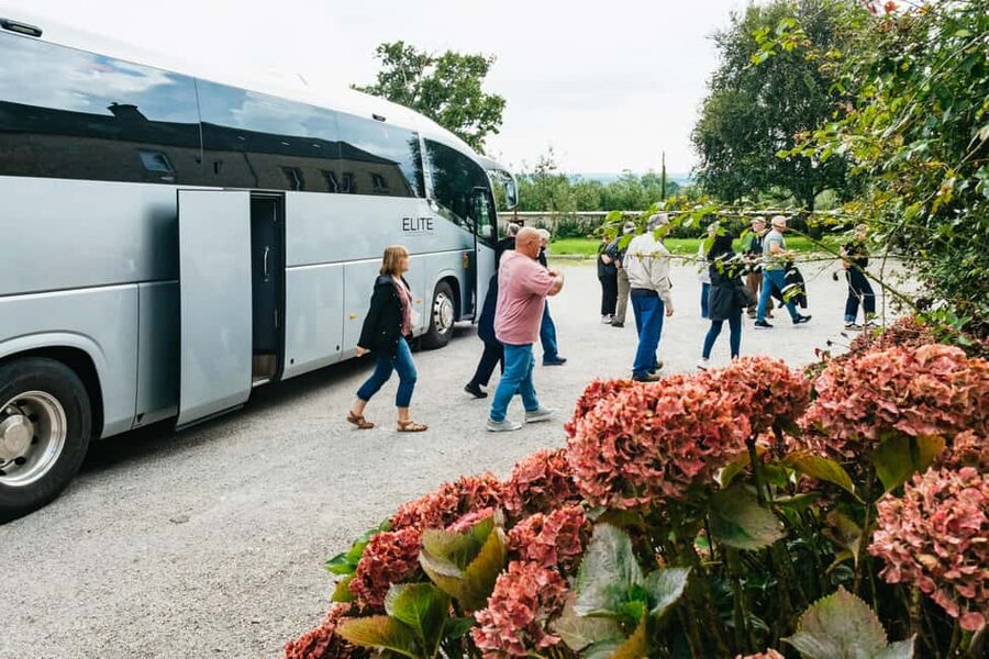 Paris: Normandy D-Day Sites Guided Day Trip with Lunch - A Norman lunch near Grandcamp-Maisy