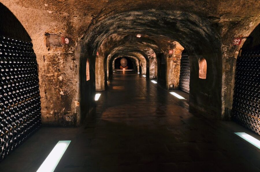Paris: Private Day Trip to Champagne with 8 Tastings & Lunch - Lunch at a family-run house or local restaurant