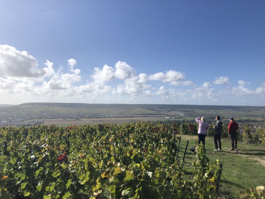 Paris: Private Day Trip to Champagne with 8 Tastings & Lunch - Driving through the Côte des Blancs and Vallée de la Marne
