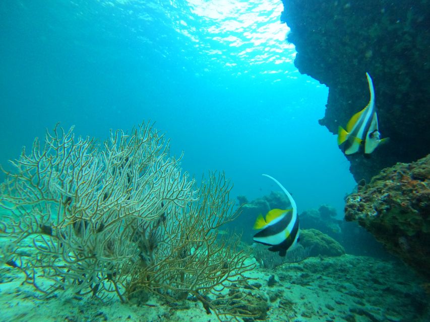 Phi Phi & Bamboo Islands: Premium Day Trip w/ Seaview Lunch - The ride home is where comfort matters