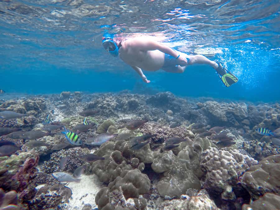 Phi Phi & Bamboo Islands: Premium Day Trip w/ Seaview Lunch - Bamboo Island brings the first swim