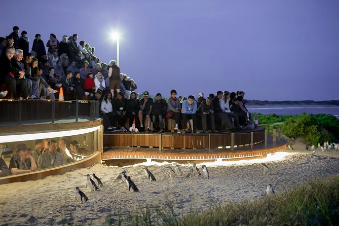 Phillip Island Day Trip from Melbourne with Penguin Plus Viewing Platform - From Flinders Street to the Koala Conservation Reserve