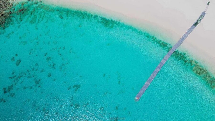 Phuket: Coral & Racha Islands Day Trip By Speedboat - The guides make the day easier