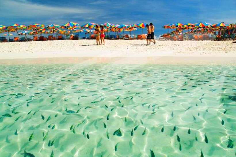 Phuket: Khai Nok, Khai Nai, and Khai Nui Island Day Trip - Khai Nai: cats, sand, and paid comfort
