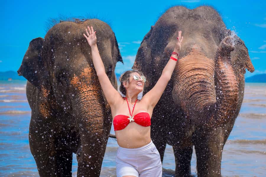 Phuket: Lily Elephant Half day Trip on the Beach with lunch - What makes this Phuket elephant visit different