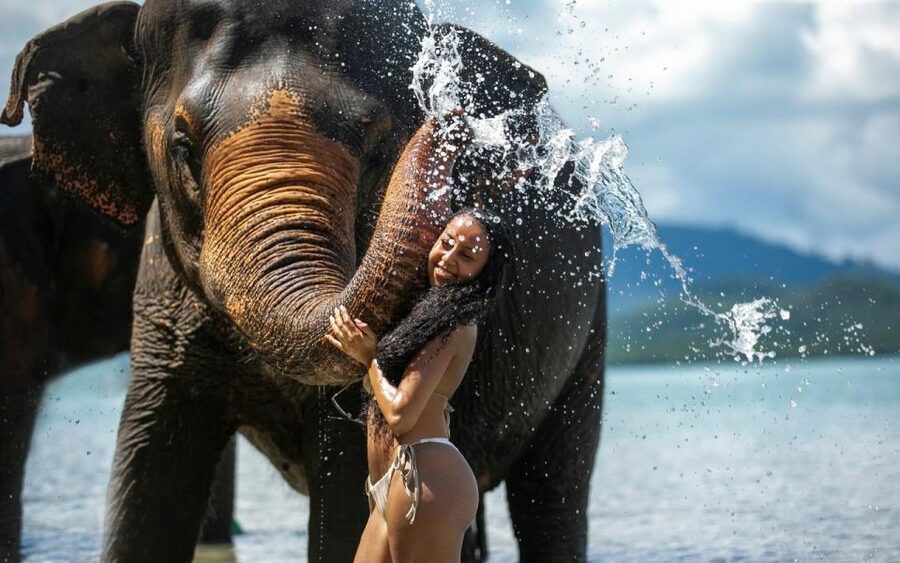 Phuket: Lily Elephant Half day Trip on the Beach with lunch - How long should you allow?