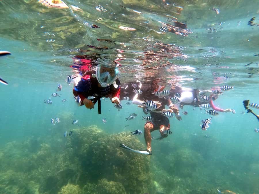 Phuket: Maya Bay, Phi Phi, Green, and Khai Islands Day Trip - Key points to know before booking