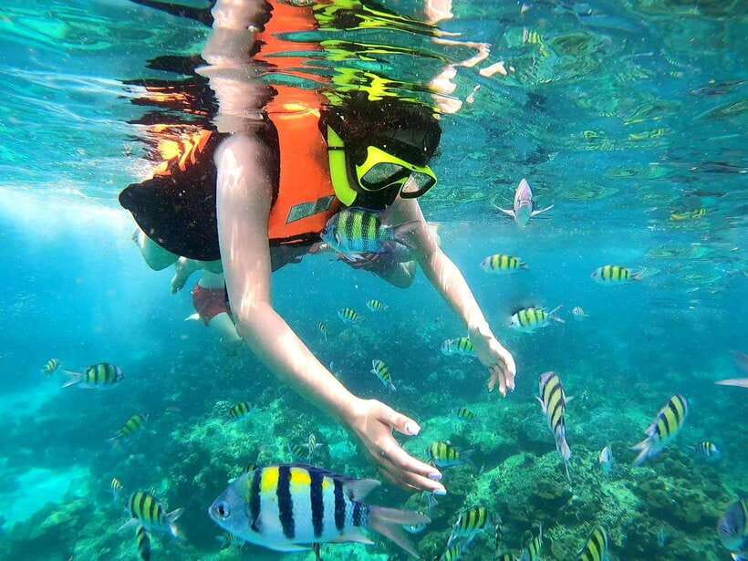Phuket: Phi Phi Islands and Maya Bay Day Trip with Lunch - Phi Phi Don: lunch, free time, and snorkeling