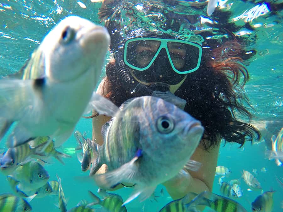 Phuket: Phi Phi & James Bond Island Combo Day Tour w/Lunch - Key points at a glance