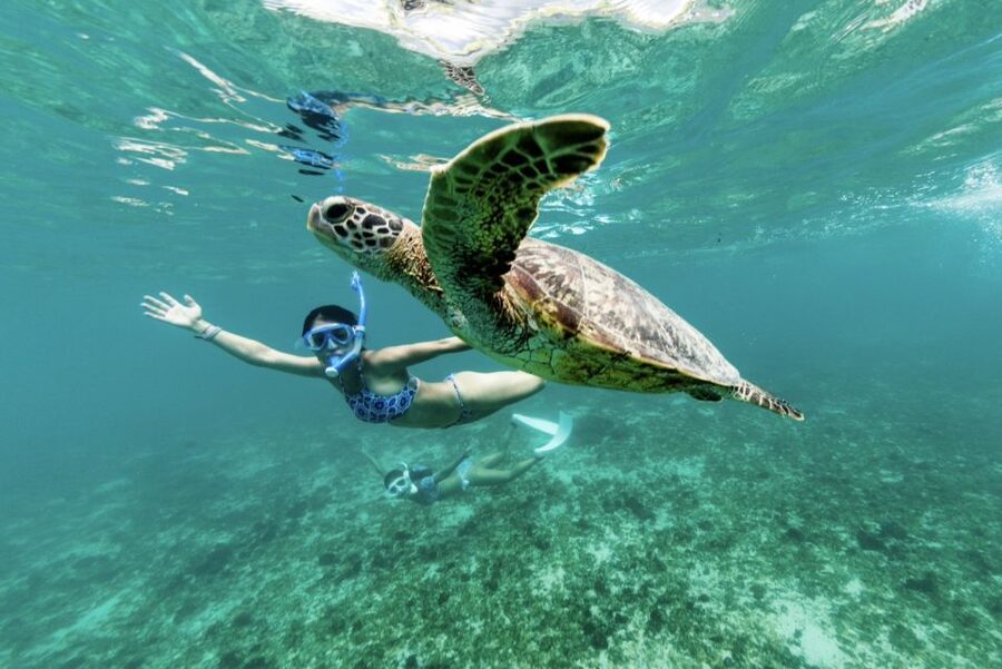 Phuket: Similan day full day trip by speedboat - Crowds, Timing, and the Cost of Paradise