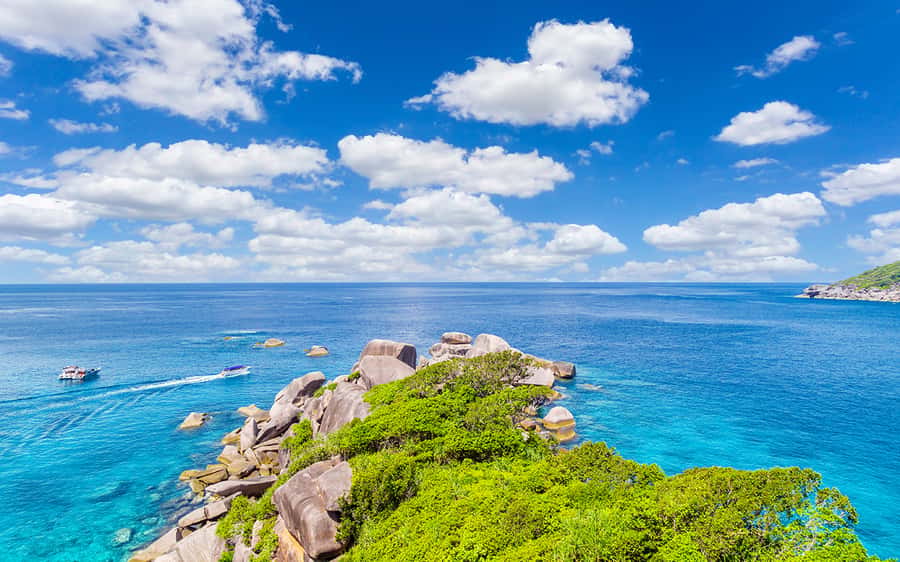 Phuket: Similan day full day trip by speedboat - Who Will Enjoy This Tour Most?