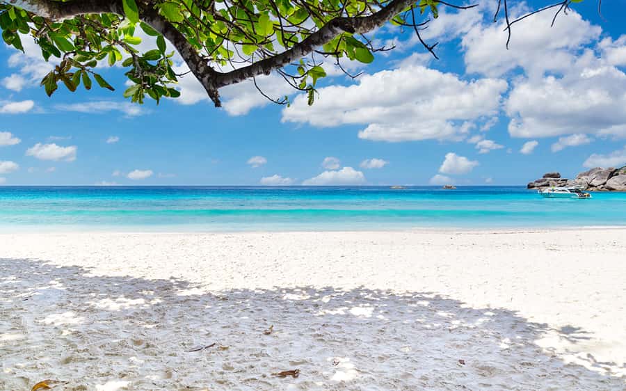 Phuket: Similan day full day trip by speedboat - Ko Miang Gives You the First Island Taste