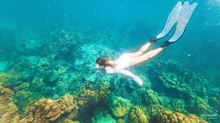 Phuket: Speedboat Day Trip to Phi Phi and Maya Bay - What the $55 Phuket to Phi Phi trip really offers
