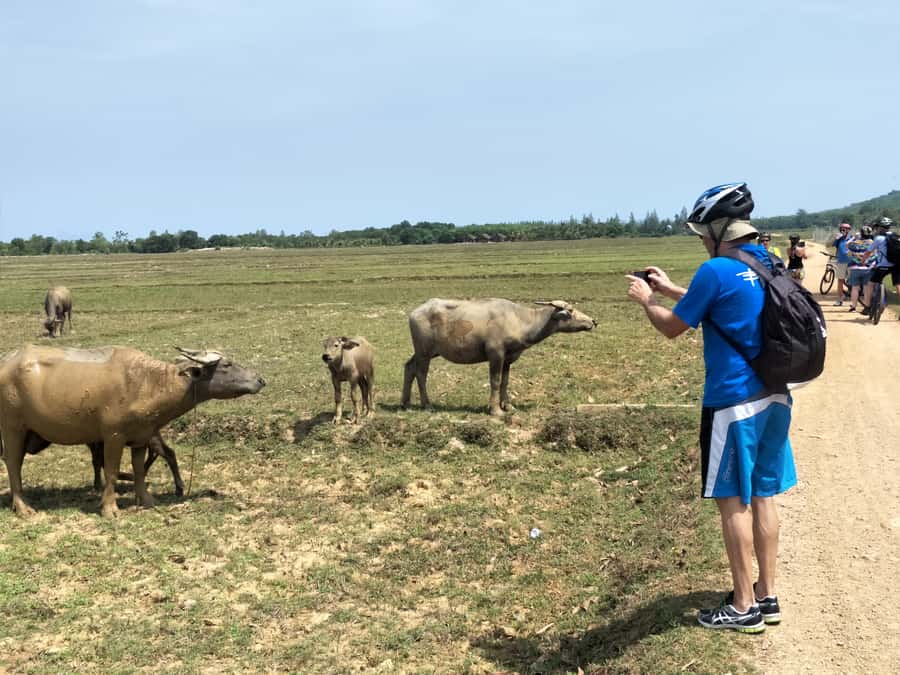 Phuket: Yao Island Cycling and Beach Day-Trip - A short café stop and a proper beach lunch