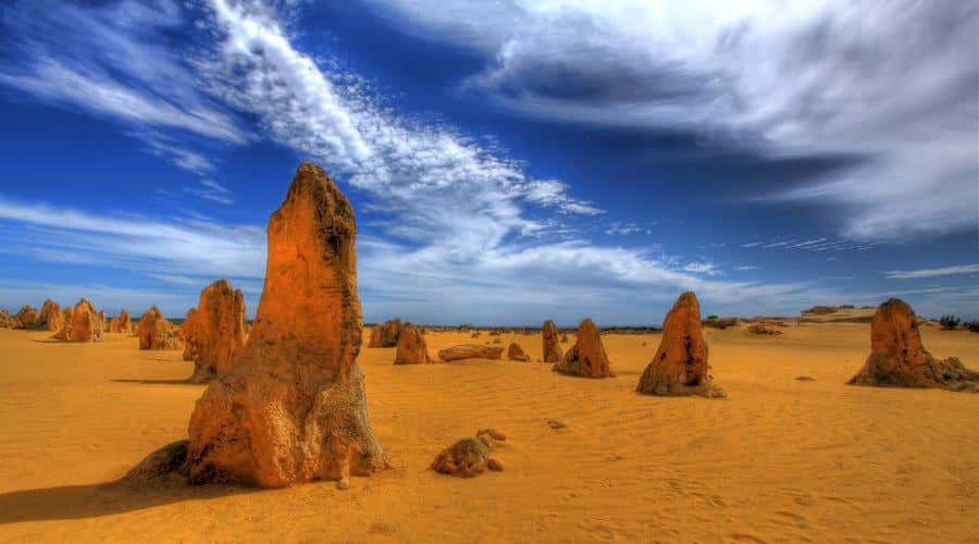 Pinnacles, Koalas, 4WD & Sandboarding Tour from Perth - A full day north of Perth