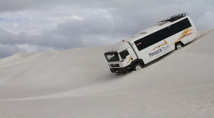 Pinnacles, Koalas, 4WD & Sandboarding Tour from Perth - Cervantes, fish and chips, and the seafood stop