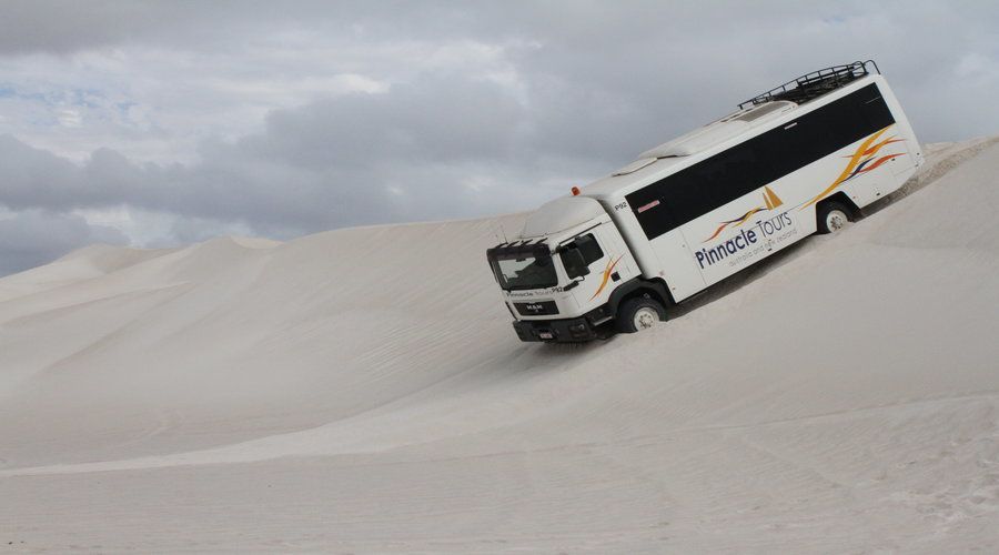 Pinnacles, Koalas, 4WD & Sandboarding Tour from Perth - Is $176 good value?