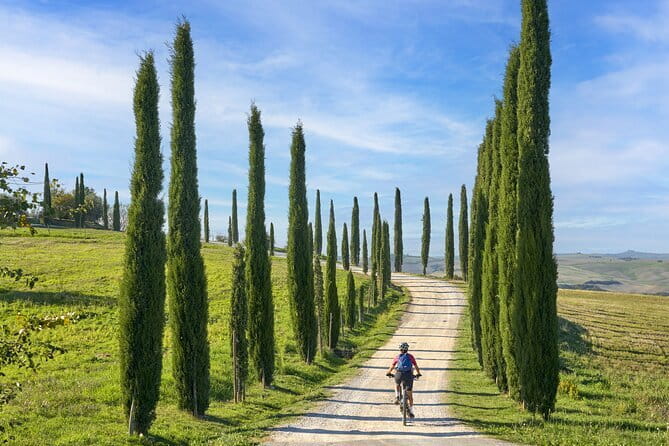 Pisa, Siena and San Gimignano Day Trip with Lunch & Wine Pairing - Walking, timing, and who should book