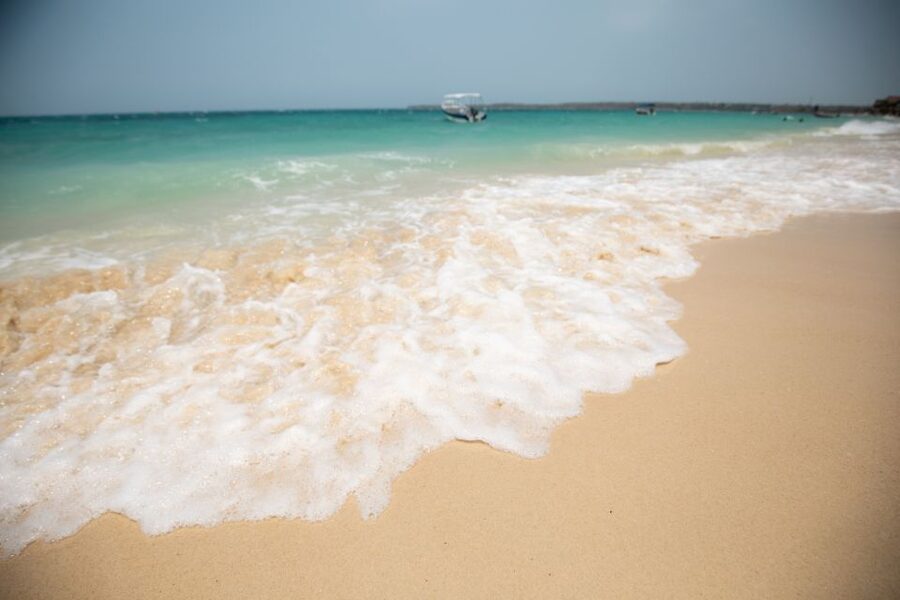 Playa Blanca Full-Day Trip from Cartagena - Lunch with grilled fish and local flavors