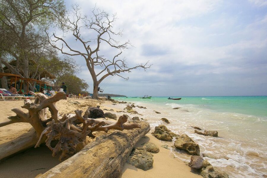 Playa Blanca Full-Day Trip from Cartagena - Should you book this trip?