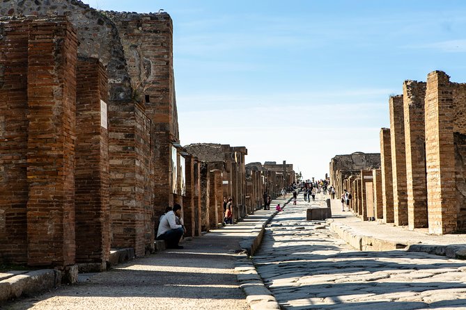 Pompeii & Mt.Vesuvius Day Tour from Naples with Pizza Lunch - Why this makes sense from Naples