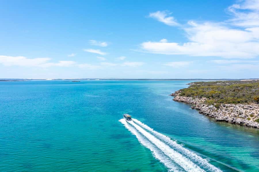 Port Lincoln: Coffin Bay Seafood, Wine, and Nature Day Trip - What the guides add to the experience