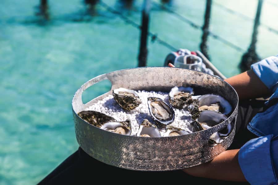 Port Lincoln: Coffin Bay Seafood, Wine, and Nature Day Trip - Practical tips for a smoother day