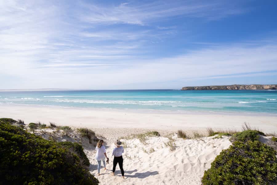 Port Lincoln: Coffin Bay Seafood, Wine, and Nature Day Trip - Coffin Bay oysters from farm to plate