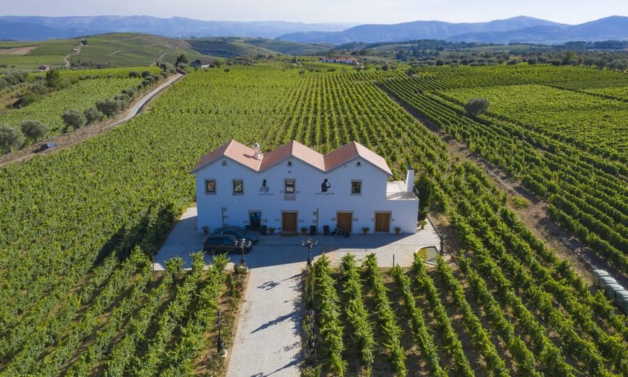 Porto: Douro Valley Day Trip with Lunch and Favaios Village - Key points to know before booking