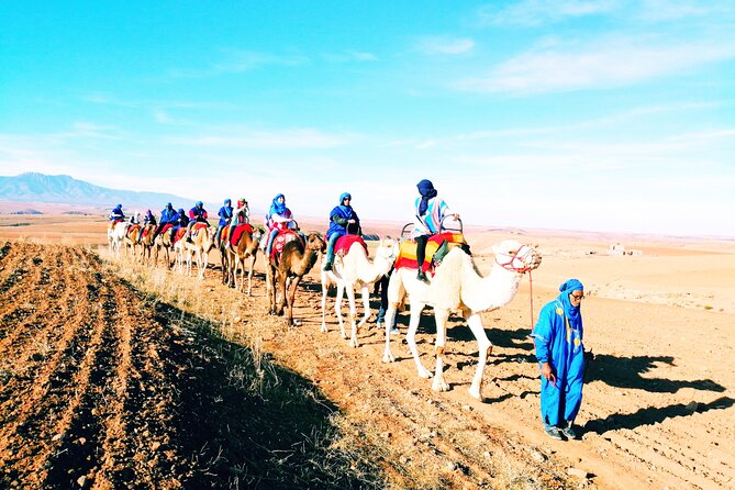 Private Atlas Mountains & Berber villages day trip - From Marrakech to the argan country