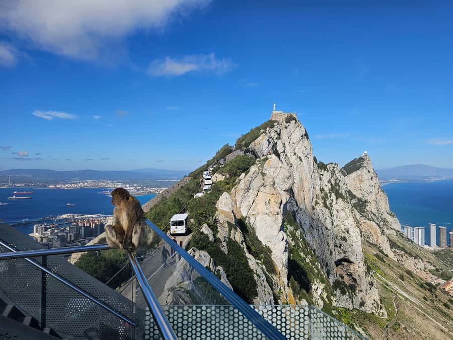Private Day Trip: Gibraltar & (Tangier) Morocco from Seville - Key points to know before booking