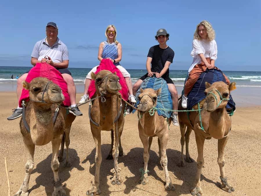 Private Day Trip: Gibraltar & (Tangier) Morocco from Seville - Five hours in Tangier: medina, food, and local texture