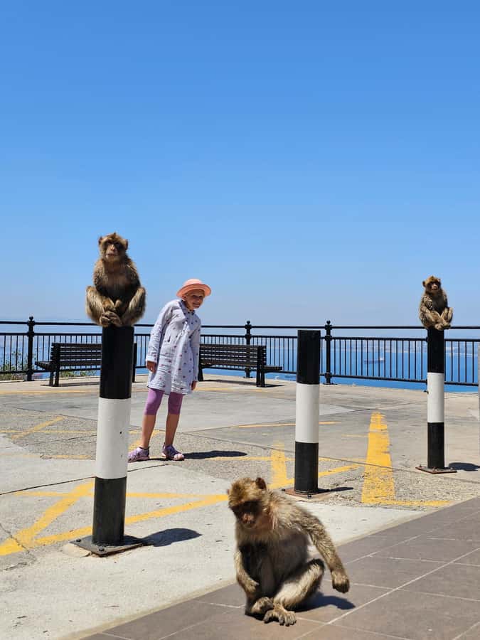 Private Day Trip: Gibraltar & (Tangier) Morocco from Seville - The $884 price: who gets good value