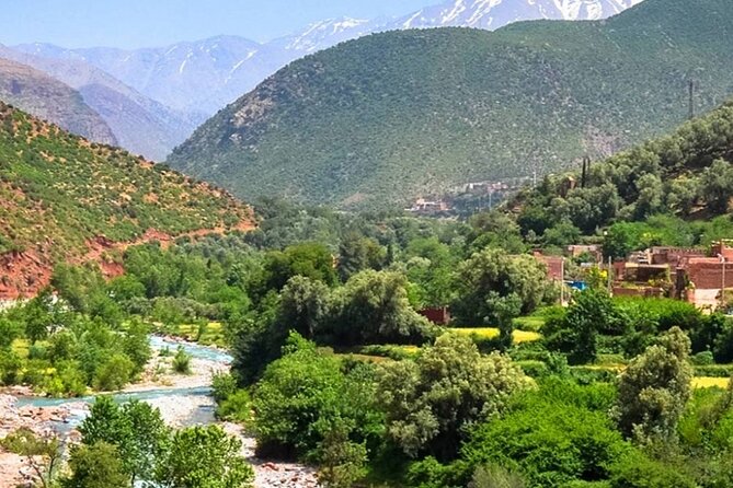Private Day Trip to Atlas Mountains - Why this day trip works well from Marrakech