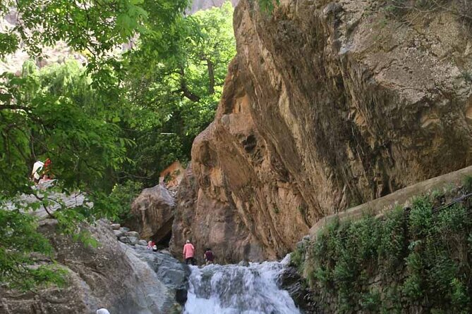 Private Day Trip to Atlas Mountains - Price, timing, and practical value