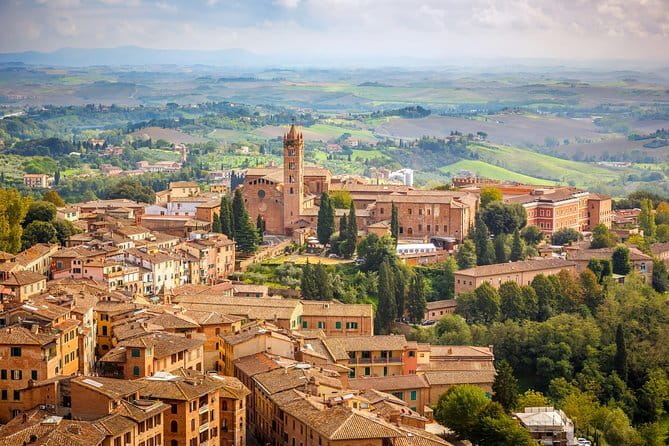 Private day trip to Siena, San Gimignano, Chianti and Pisa, from Florence - A food break between Siena and San Gimignano