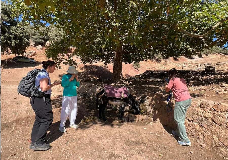 Private Day Trip to Volubilis, Moulay Idriss and Meknes - Why this Fes day trip works