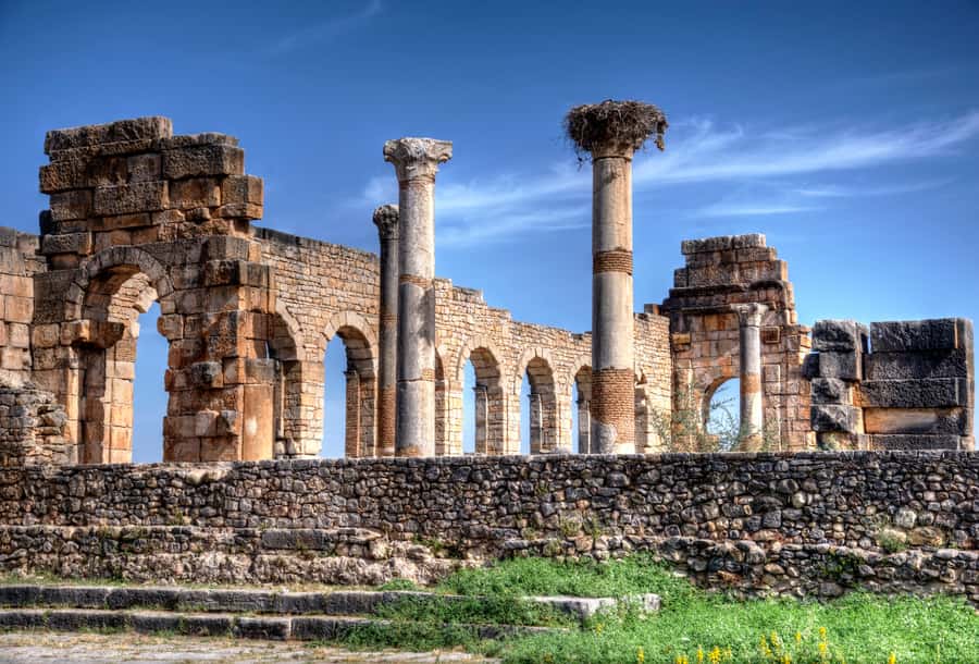 Private Day Trip to Volubilis, Moulay Idriss and Meknes - What the $70 price really includes