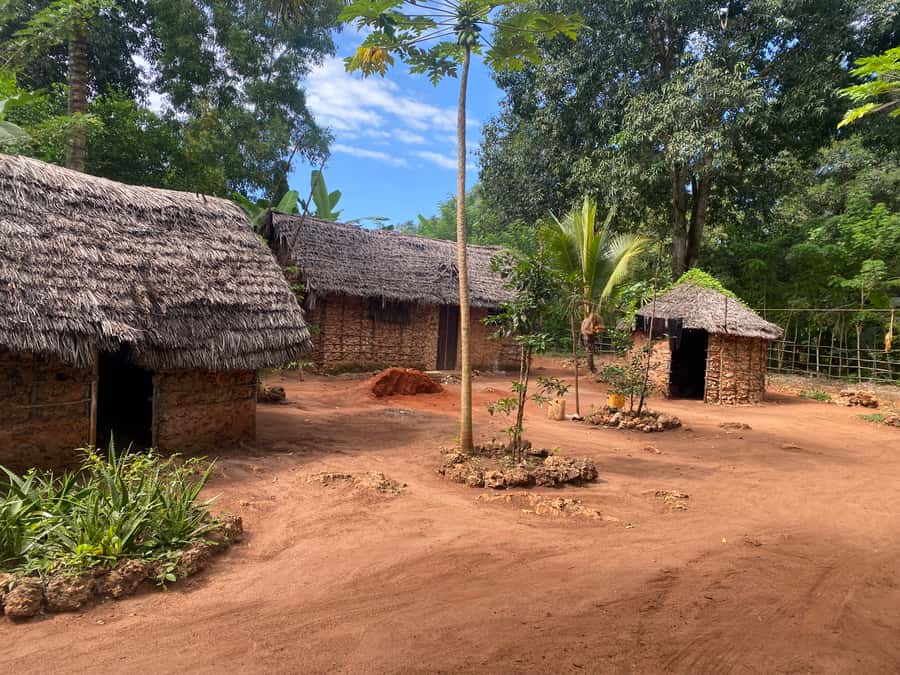 Private Full Day Trip Exploring Zanzibar Nature - Pete village and the people behind the meal